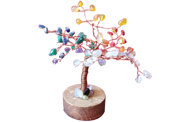 albero